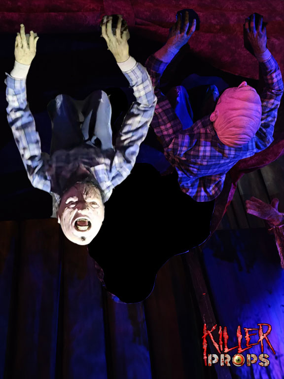 Ceiling Creeper